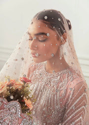 AKBAR ASLAM - HYACINTH